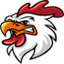 cockfight